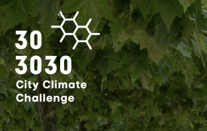 City Climate Challenge